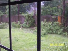 My backyard during Katrina.JPG